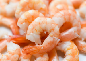 gamberi e gamberetti per cani e gatti