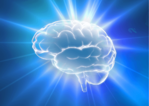 cervello, alimenti che fanno bene al cervello