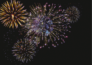 Fuochi d'artificio in cielo, capodanno in sicurezza per cani