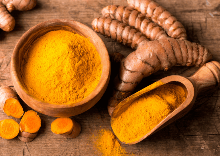 Curcuma: una pianta speciale per i nostri animali