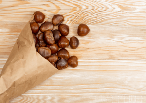 I cani possono mangiare le castagne? Guida completa